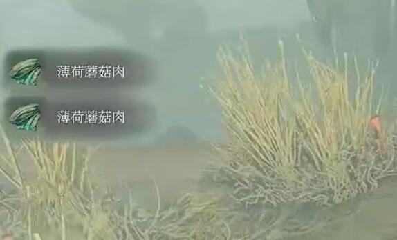 雾锁王国薄荷蘑菇肉怎么获得