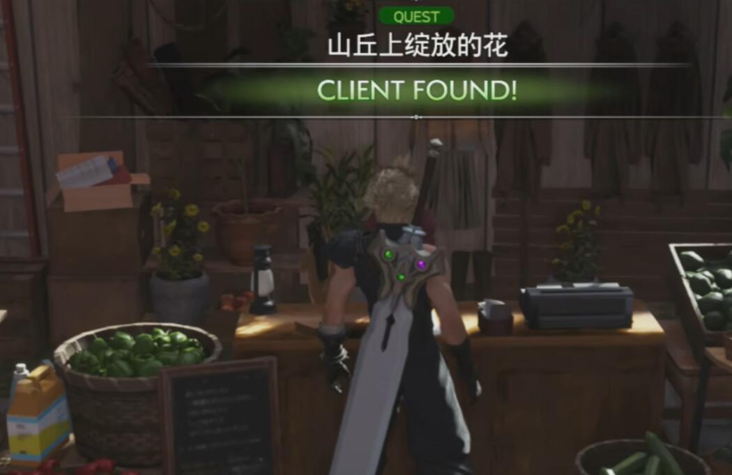 最终幻想7重生山丘上绽放的花攻略