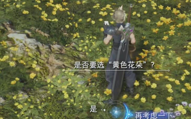 最终幻想7重生山丘上绽放的花攻略