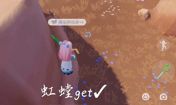 心动小镇捕虫方法分享