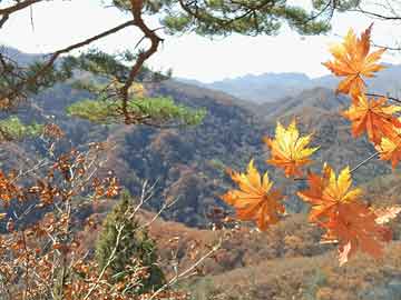 《冒险之星》神话英雄图鉴